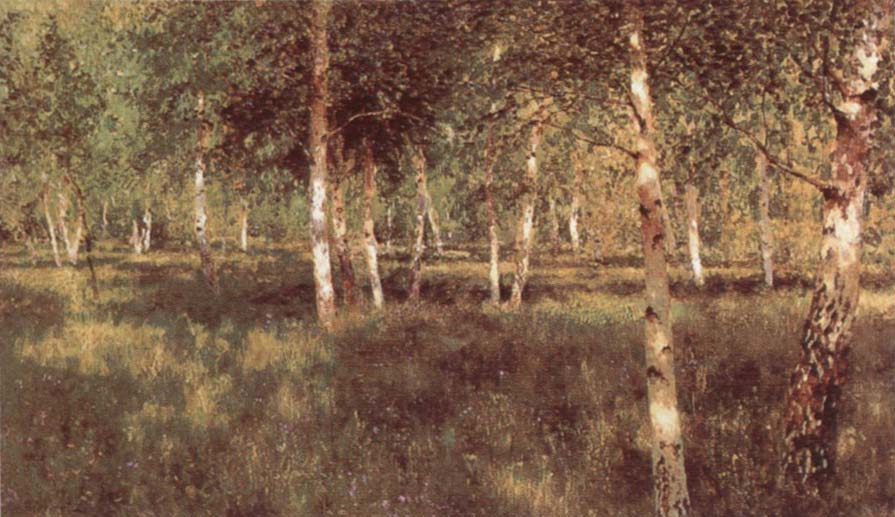 Birch Grove